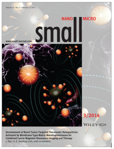 Cover article: Small 10(3): 417